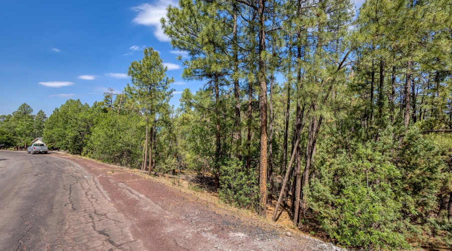 photo(9) 2038 Pine Wood Lane PT Kat 0625