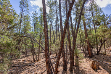 2038 Pine Wood Lane, Pinetop, Arizona 85935, ,Land,For Sale,Pine Wood,256760