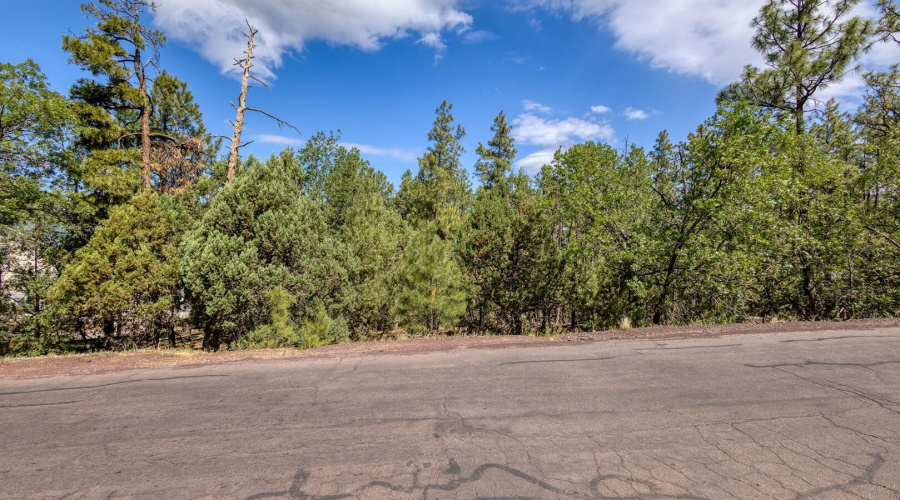 photo(8) 2038 Pine Wood Lane PT Kat 0625