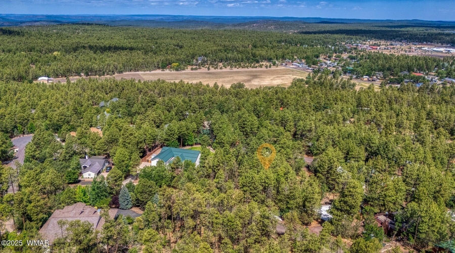 photo(15) 2038 Pine Wood Lane PT Kat 062