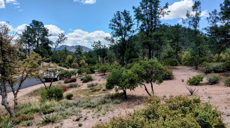 IMG20250508110248~2 (1)