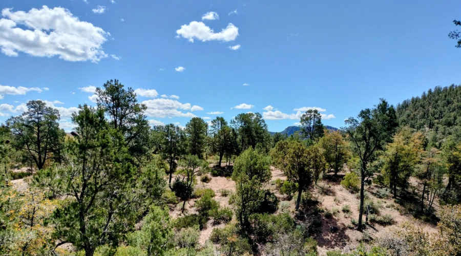 IMG20250508102114~2 (3)