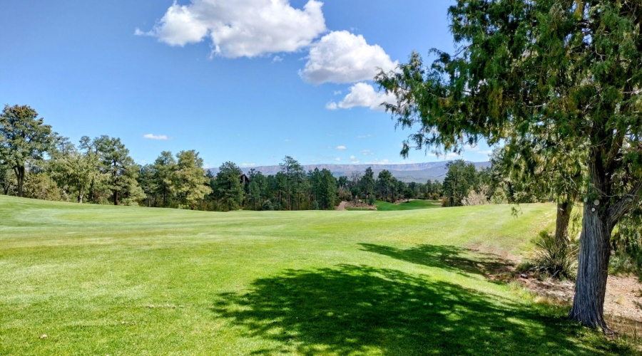 IMG20250508101915~2 (1)