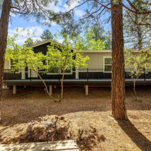 3198WYoung-ShowLow-AZ-2