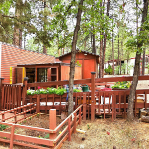 Double Lot, Deck & Garden