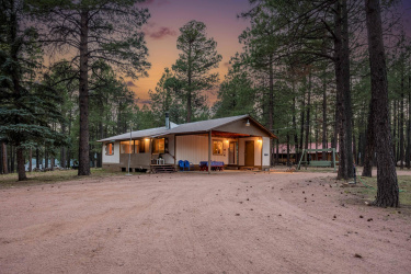 2190 Old Rim Road, Forest Lakes, Arizona 85931, Bedrooms, ,Bathrooms,Residential,For Sale,Old Rim,92492