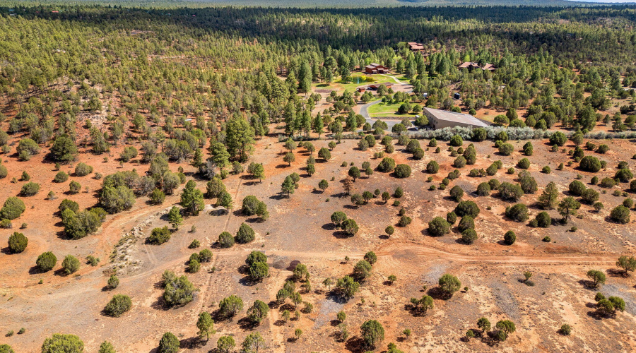 Parcel409-061-009-ShowLow-AZ-8