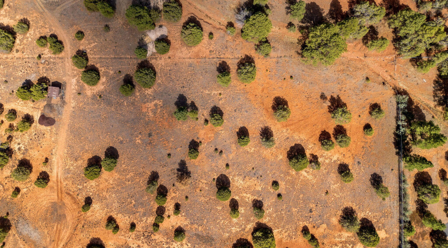 Parcel409-061-009-ShowLow-AZ-10