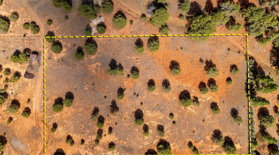 Parcel409-061-009-ShowLow-AZ-16