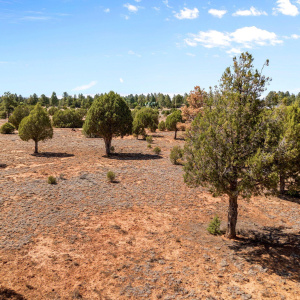 Parcel409-061-009-ShowLow-AZ-1