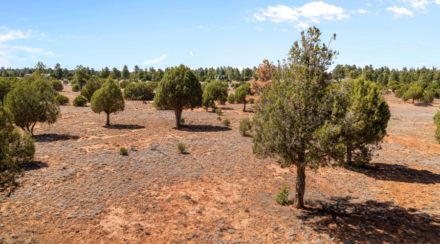 Parcel409-061-009-ShowLow-AZ-1