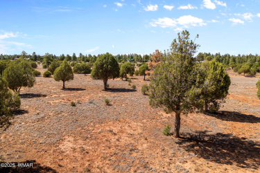 XXXXX Iron Spur, Show Low, Arizona 85901, ,Land,For Sale,Iron,256786