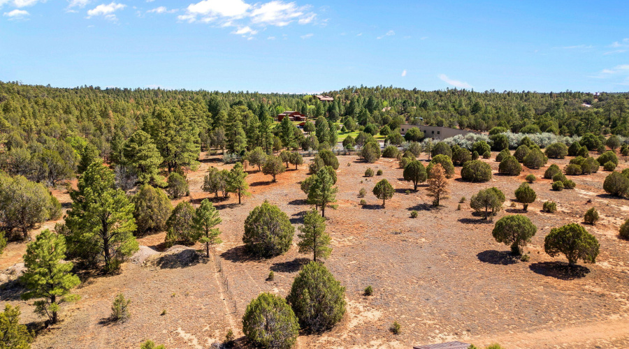 Parcel409-061-009-ShowLow-AZ-2