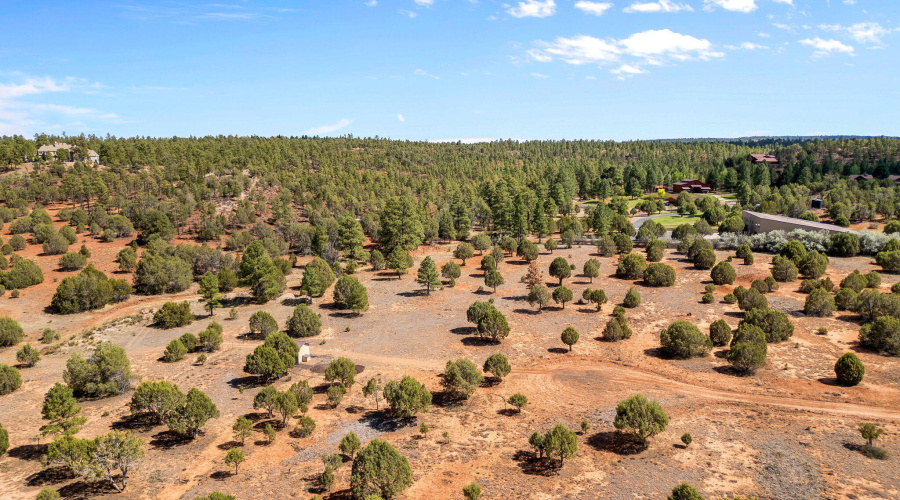 Parcel409-061-009-ShowLow-AZ-3