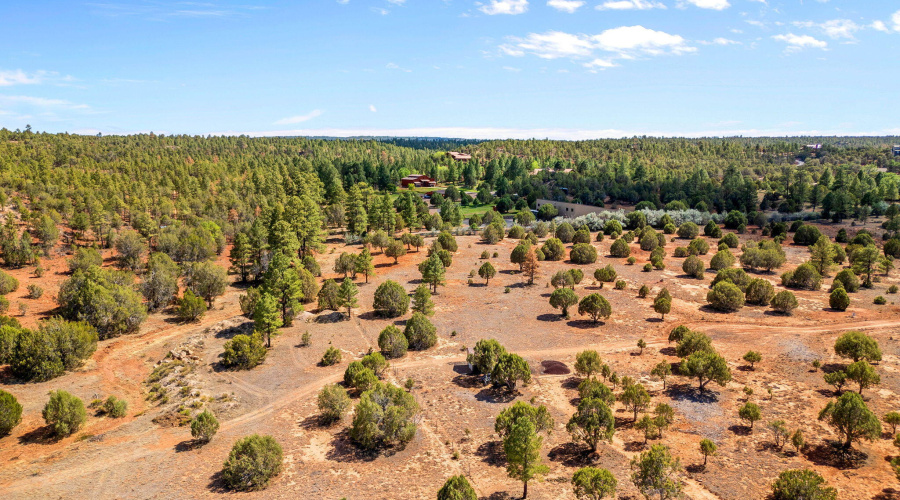 Parcel409-061-009-ShowLow-AZ-4