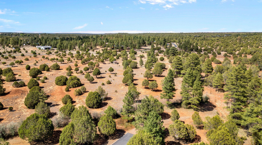 Parcel409-061-009-ShowLow-AZ-5