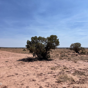 8191 E Concho Highway, Snowflake