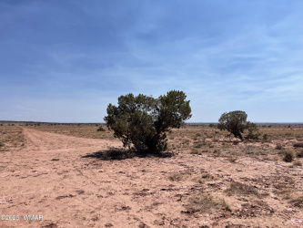 8191 Concho Highway Parcel B, Snowflake, Arizona 85937, ,Land,For Sale,Concho Highway Parcel B,256780