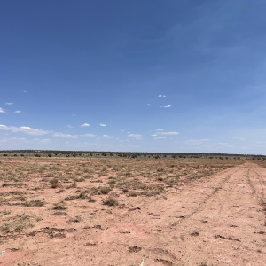 8191 E Concho Highway, Snowflake