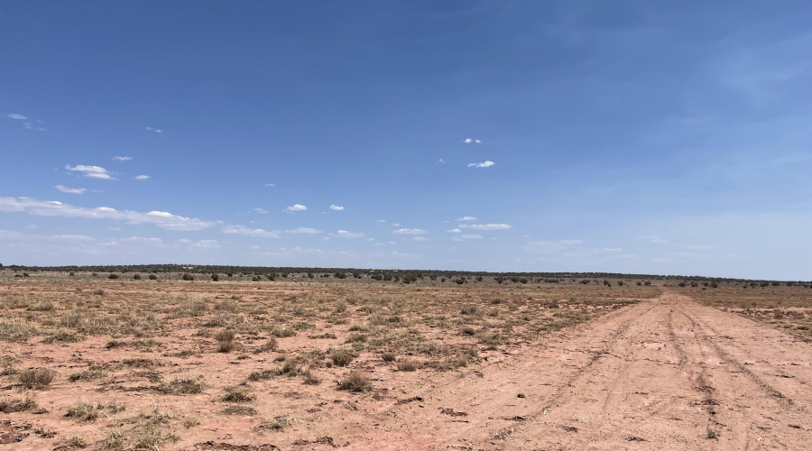 8191 E Concho Highway, Snowflake