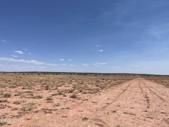 8191 Concho Highway Parcel C, Snowflake, Arizona 85937, ,Land,For Sale,Concho Highway Parcel C,256781