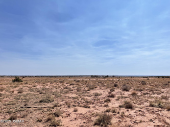 8191 Concho Highway Parcel D, Snowflake, Arizona 85937, ,Land,For Sale,Concho Highway Parcel D,256782