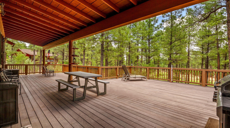 Spacious Back Deck