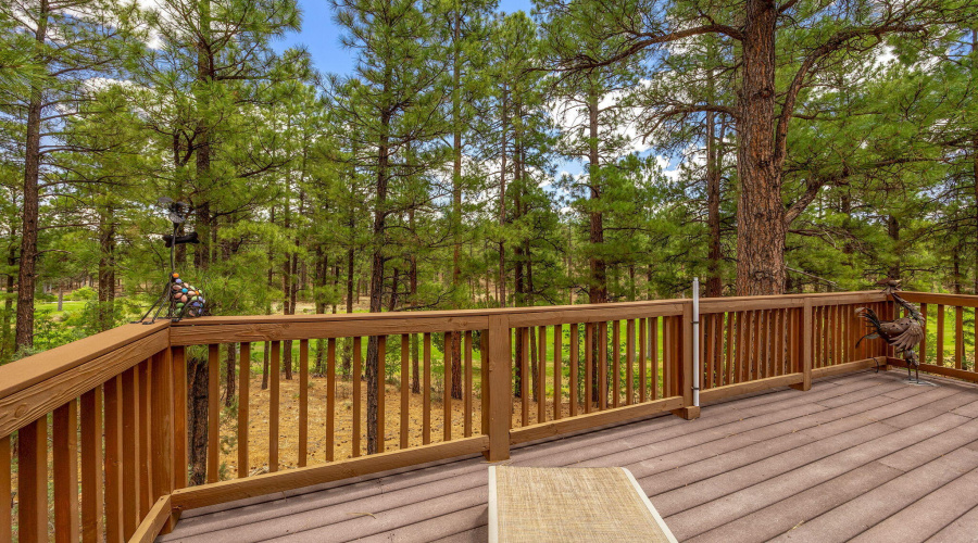 Back Deck Looking out to Beautiful Pines
