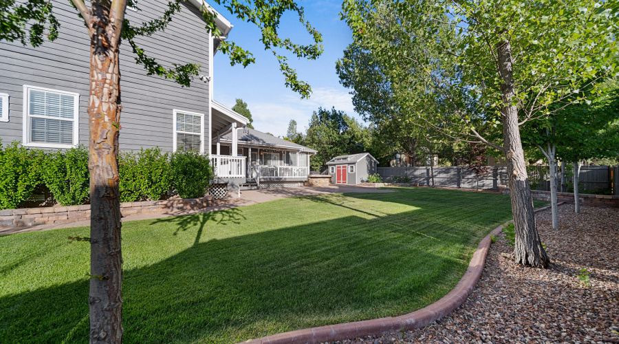 A back yard view to house