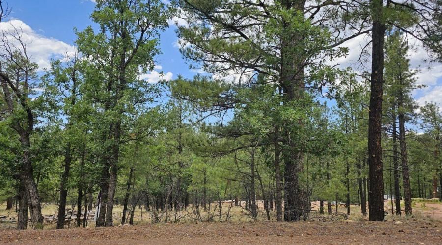 Build your Mt Retreat