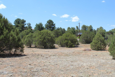 551 Owens, Show Low, Arizona 85901, ,Land,For Sale,Owens,256798