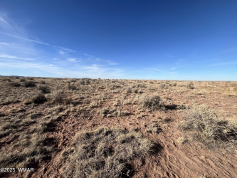 TBD 23rd Street, Holbrook, Arizona 86025, ,Land,For Sale,23rd,254461