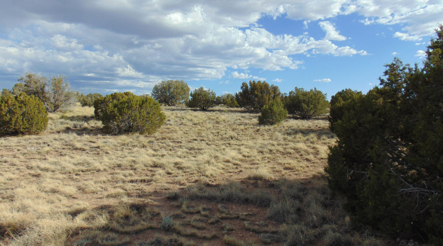 38 Gila Dr Glen Rushing 6.23 listing (15