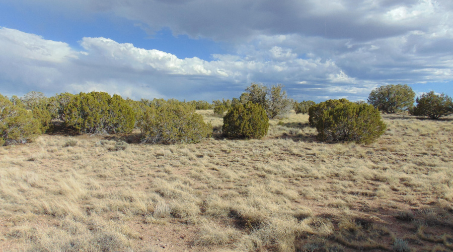 38 Gila Dr Glen Rushing 6.23 listing (16