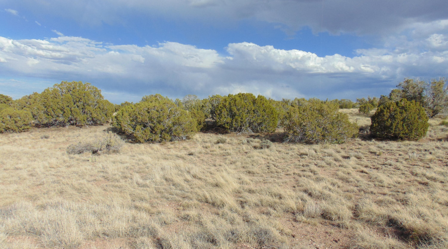 38 Gila Dr Glen Rushing 6.23 listing (17