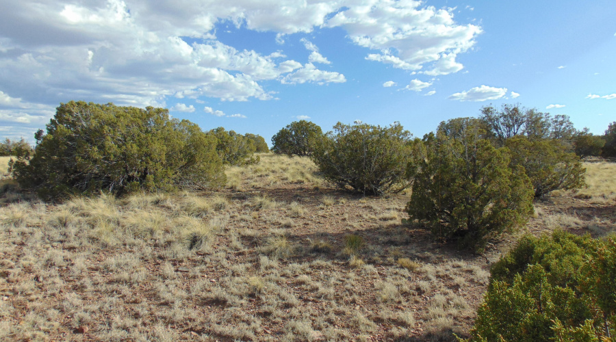 38 Gila Dr Glen Rushing 6.23 listing (18