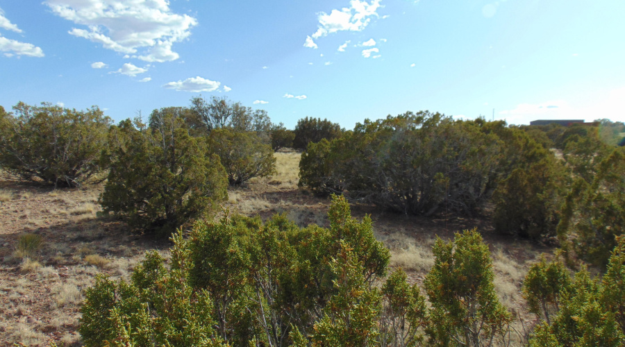 38 Gila Dr Glen Rushing 6.23 listing (19