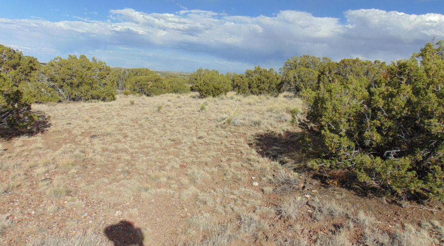 38 Gila Dr Glen Rushing 6.23 listing (20