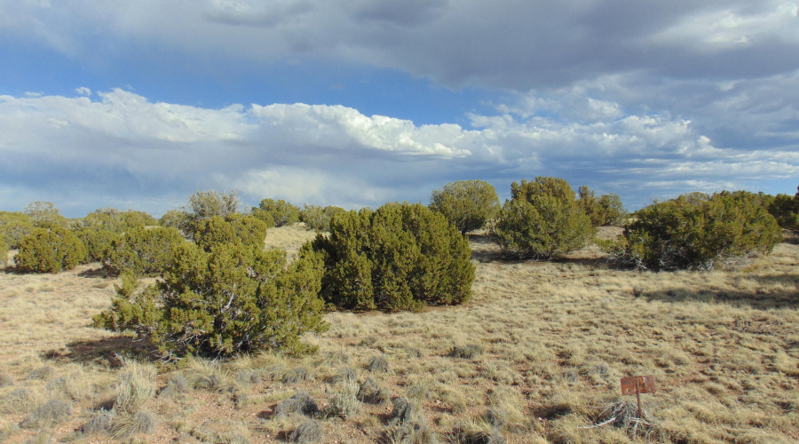 38 Gila Dr Glen Rushing 6.23 listing (9)