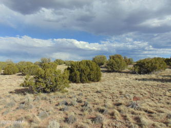 38 Gila Drive, Concho, Arizona 85924, ,Land,For Sale,Gila,256795
