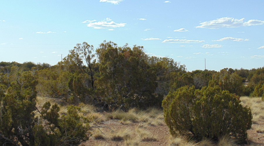 38 Gila Dr Glen Rushing 6.23 listing (6)