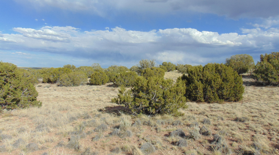 38 Gila Dr Glen Rushing 6.23 listing (10