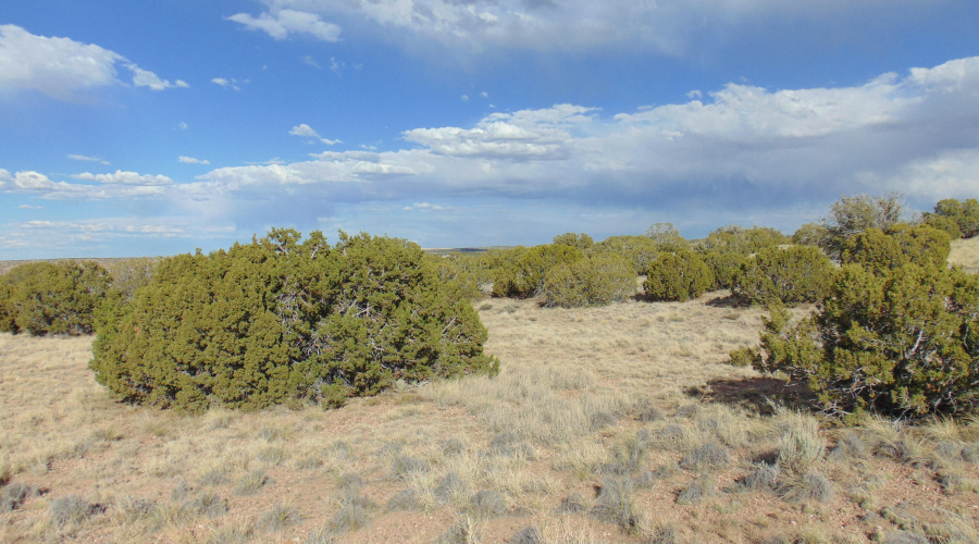 38 Gila Dr Glen Rushing 6.23 listing (11