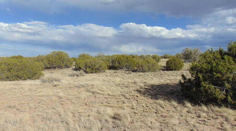 38 Gila Dr Glen Rushing 6.23 listing (12