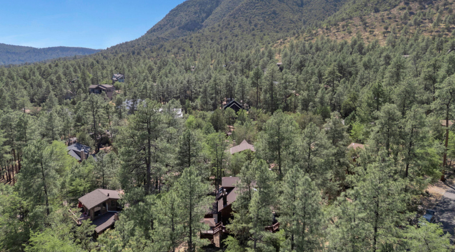 37-web-or-mls-TimberCreekImagery-3