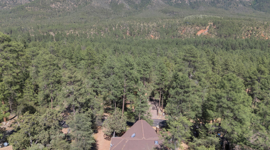 42-web-or-mls-TimberCreekImagery-7