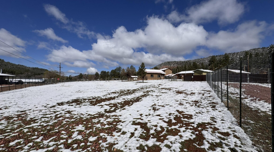 54 - 1 of 2 Fully fenced south yards