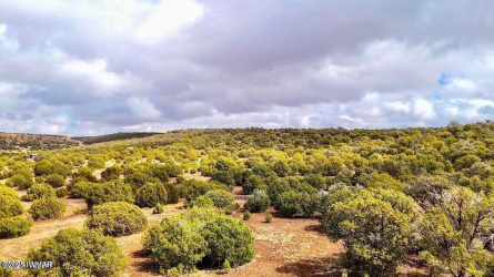 TBD Co Rd 8256 Lot D 10 Acres, Concho, Arizona 85924, ,Land,For Sale,Co Rd 8256 Lot D 10 Acres,256801