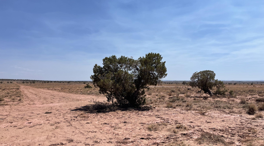 8191 E. Snowflake Concho Highway