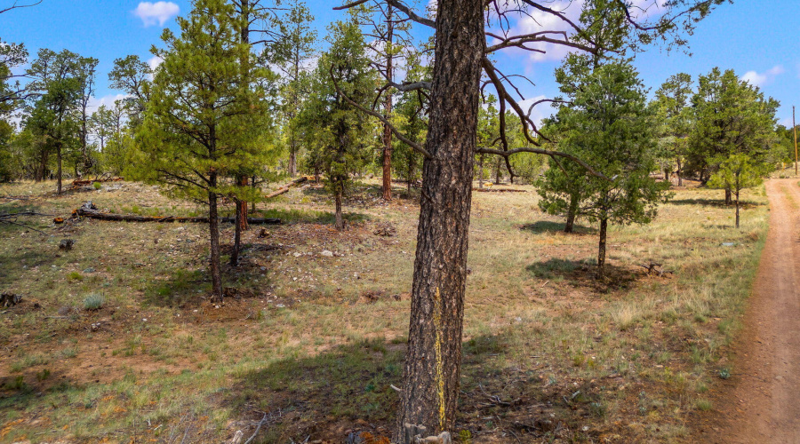 207-18-007H-HeberOvergaard-AZ-1